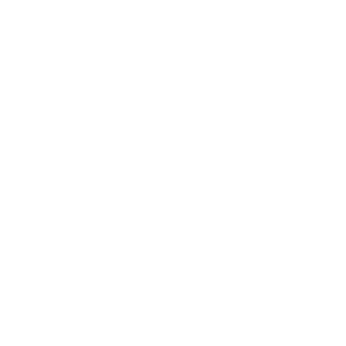 Detroit Charter Company