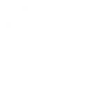 Detroit Charter Company