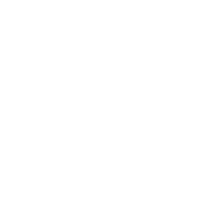 Detroit Charter Company